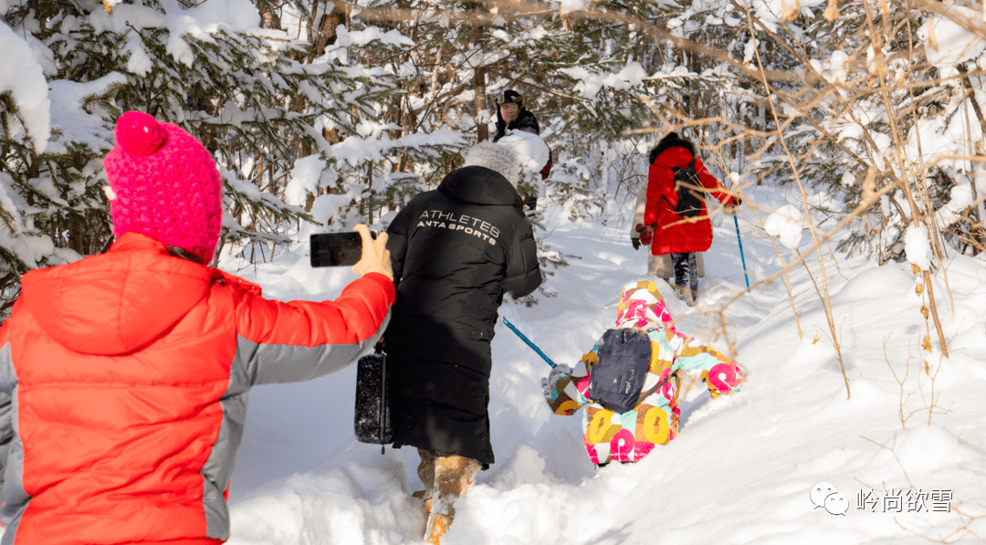 寻找野生动物的痕迹…在雪地中找柴火,生篝火,做野炊,体验雪地森林