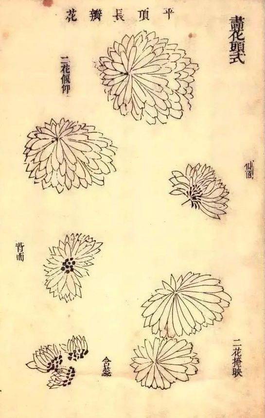 波罗蜜_般若_芥子园