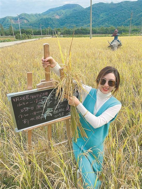 广东省|广州乡村精品民宿究竟有多火？