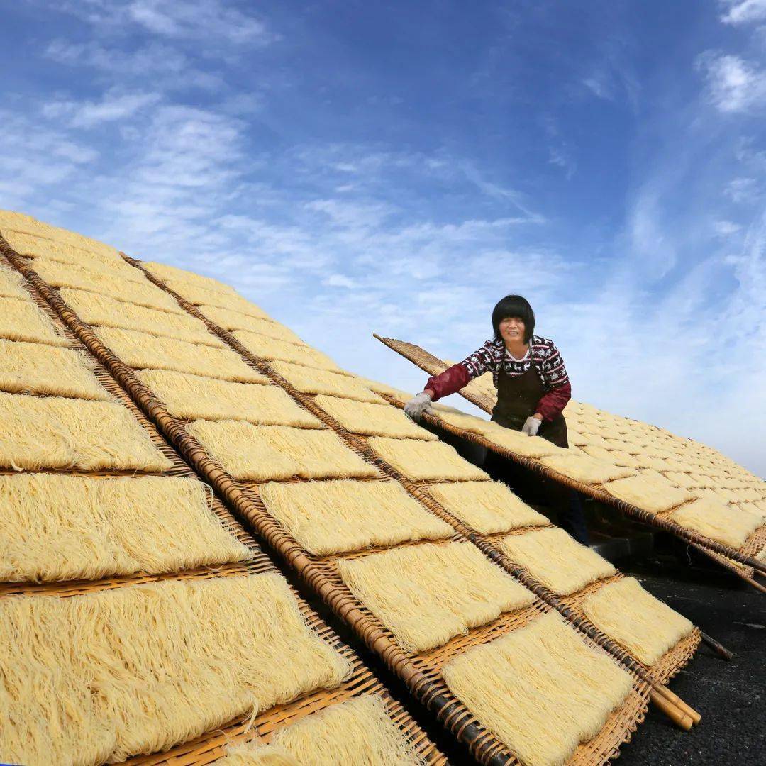 要掌握好气候,秋,冬两季气候干燥,微风习习,是制晒米粉干的最佳气候