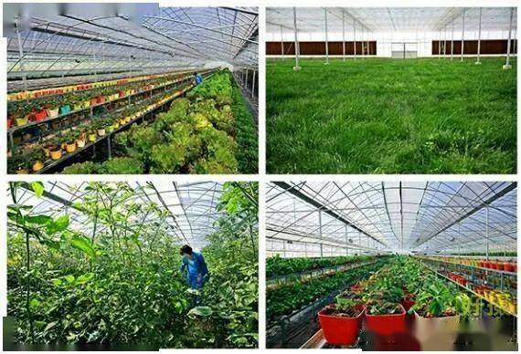 Kaiyun 开云体育休闲农业中的农业原则(图8)