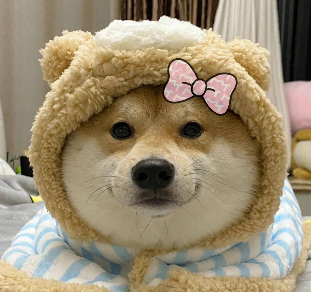 849777f864df4ef383a9d0ea8c16c43e.jpeg