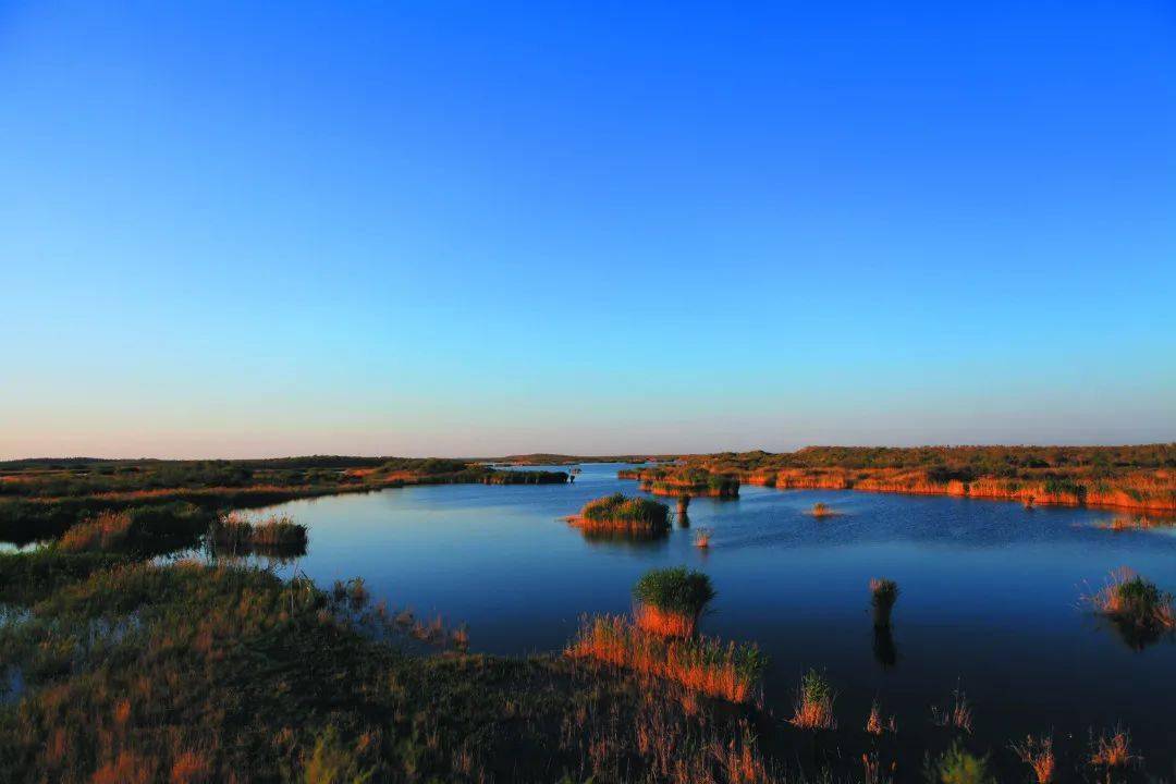 玛纳斯河在山区中呈树枝状,汇合了清水河,芦草沟,大白杨沟,小白杨沟