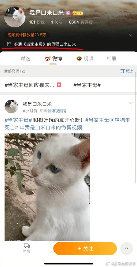 dd42724b84ee4e37a9efb19b0fac109e.png