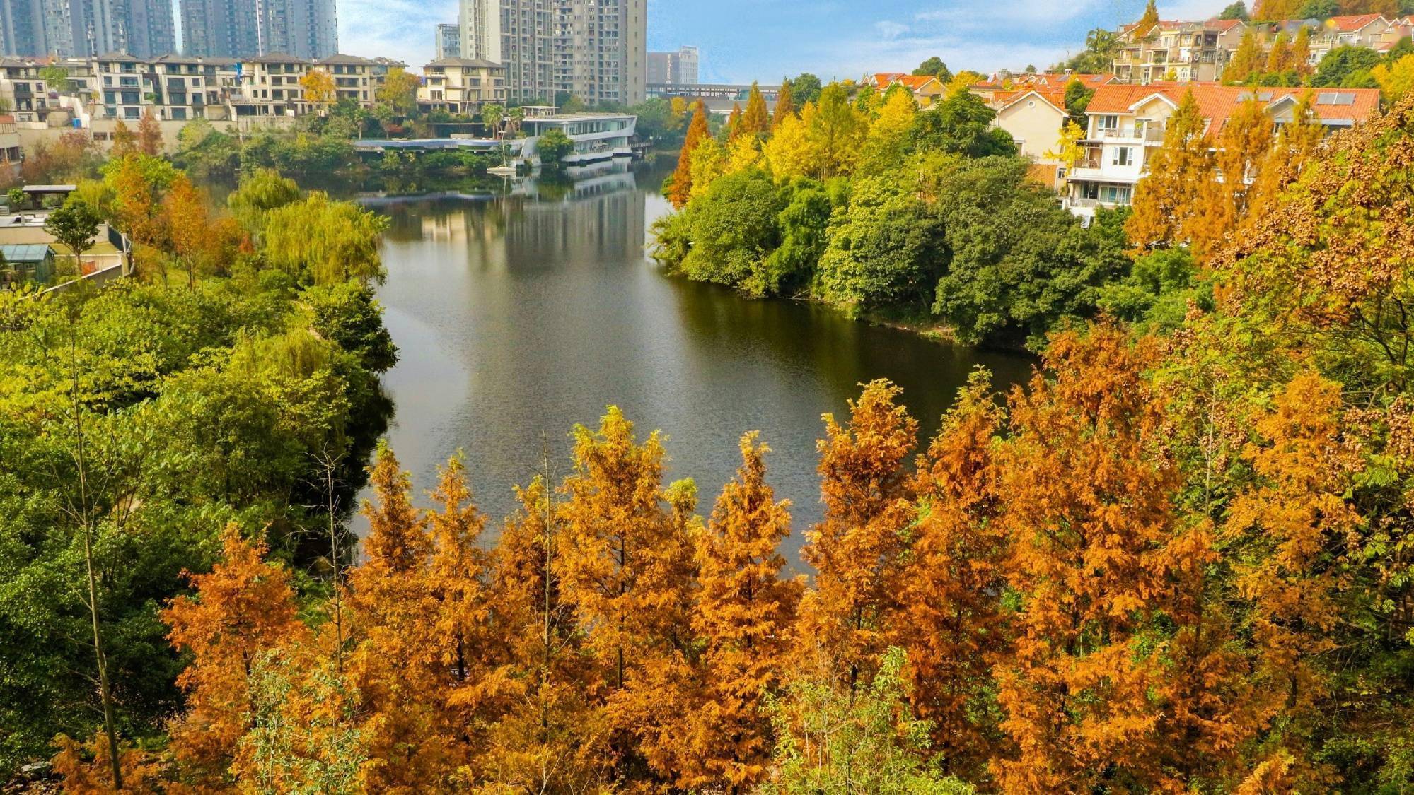 韵之|大美重庆：观两江赏冬韵 解锁山城美景