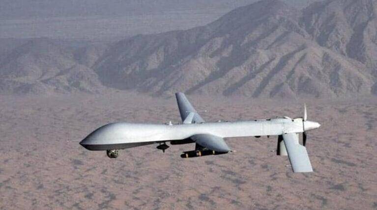 印媒炒作：印度获4架以色列“苍鹭”无人机，监控“中国边境动向”
