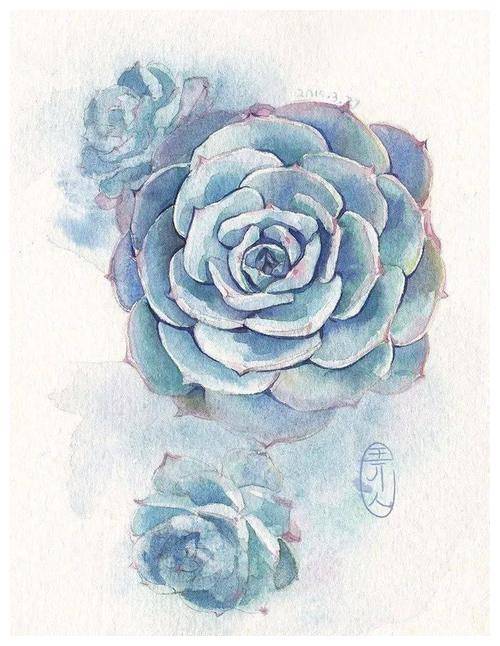 多肉叶插全过程教程 c1d5faec3c994e4ab05fde1a1f796665.jpeg