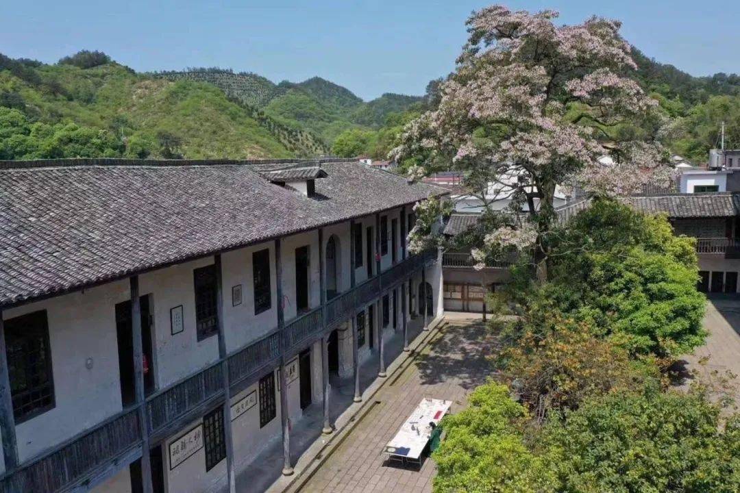 斯民小学获评全国温馨校园,为我市唯一上榜学校