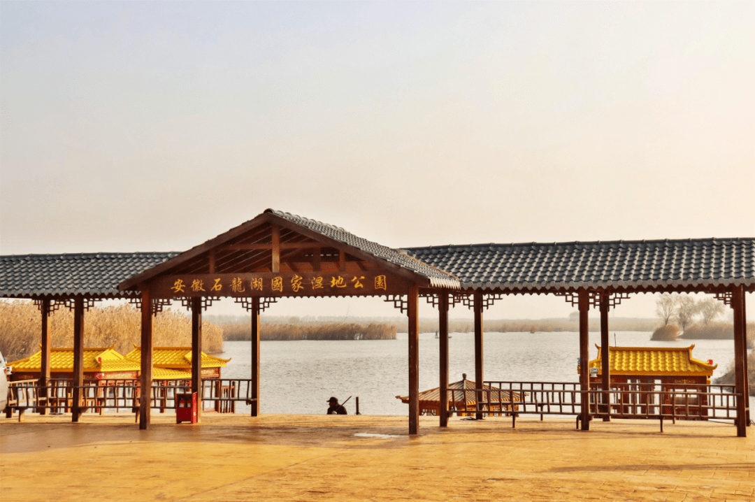 皖美泗州自媒体采风活动点赞乡村振兴