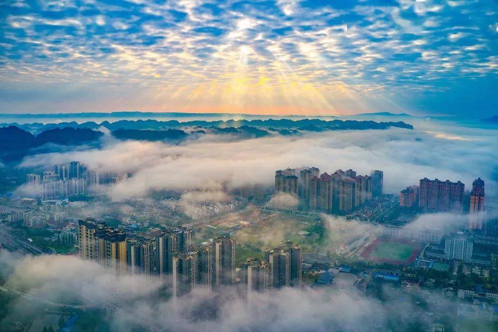 雅安|喜报！雅安市雨城区获评第二批四川省全域旅游示范区