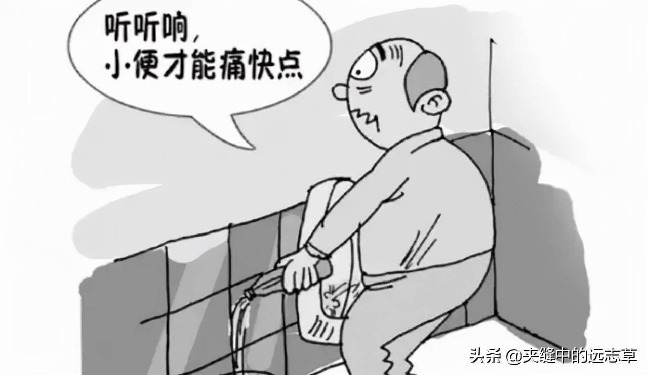 送你三味中药,一味通,一味泻,一味补_膀胱_通利_闭结