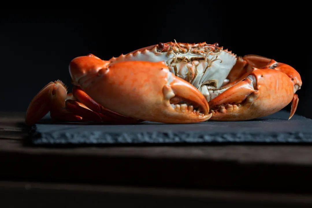 平潭"冬季进补佳品"金鲟琳琅满目,一斤180元