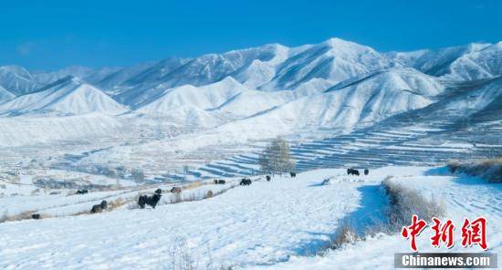 白雪|甘肃榆中冬日冰雪晶莹似童话世界