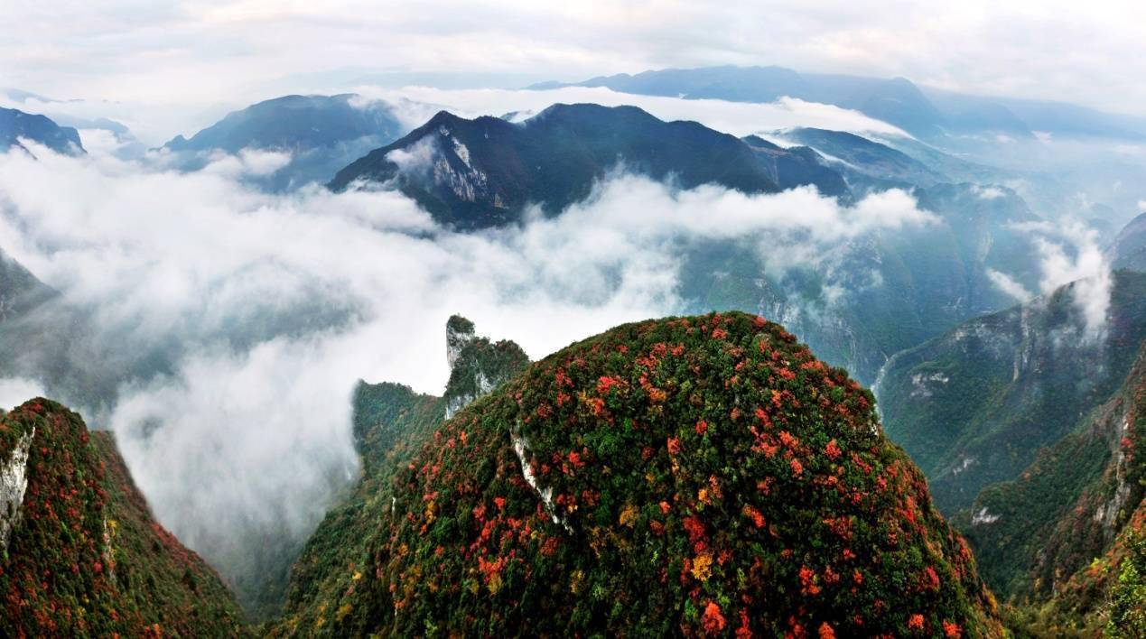 神女|巫山红叶迎最佳观赏季 速来领略巫峡“六绝”