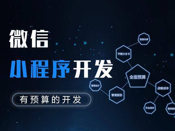 营销app开发_请人开发营销小程序_开发型营销