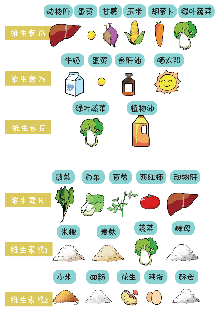 健康科普时间别只知道补充维生素c了人体必需的这些维生素你都知道吗