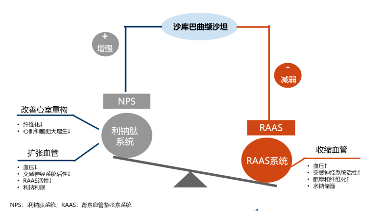 沙库巴曲缬沙坦具有独特的双重作用机制.