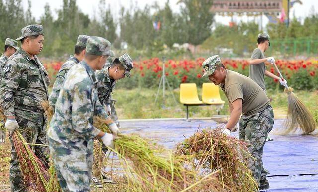 蕎麥可不只能做麥芽糖它還有這好處一般人可不告訴你