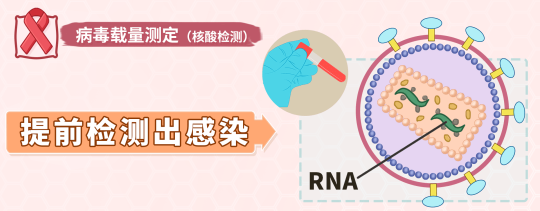 在進行藥物治療後,再次進行hiv病毒載量檢測, 還可以觀測治療效果.