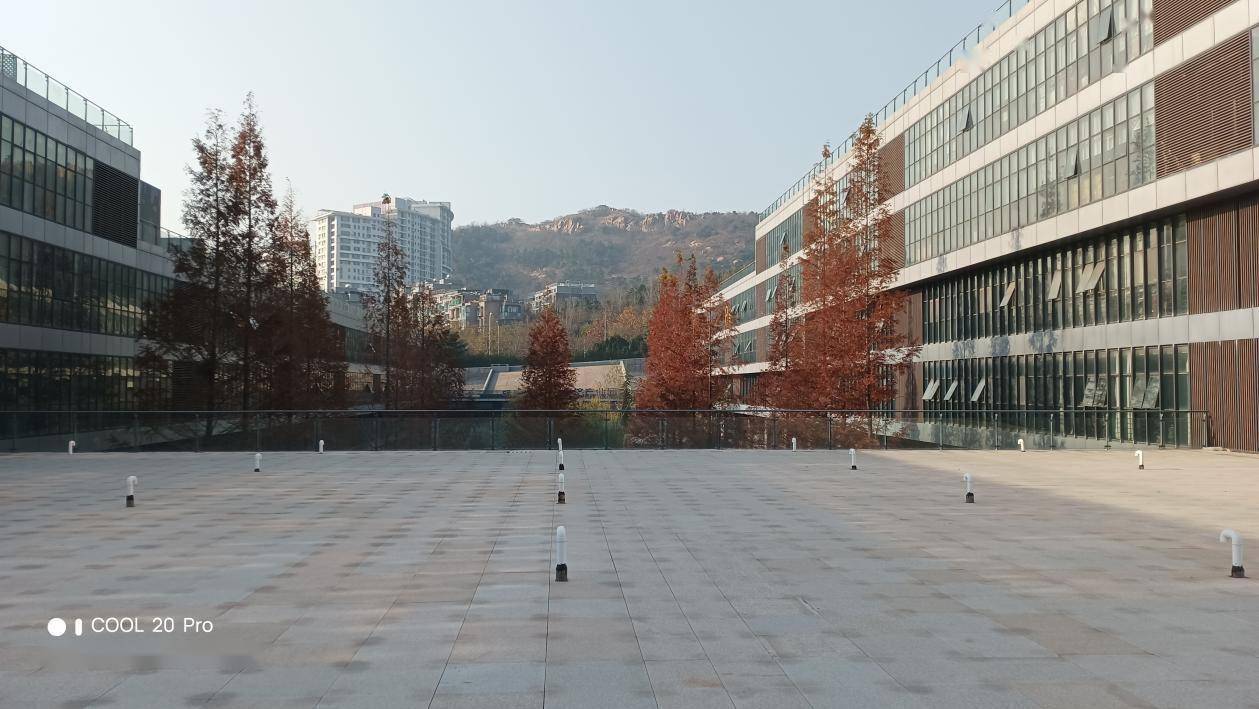 【IT之家评测室】酷派 COOL 20 Pro 评测：另辟蹊径的老朋友