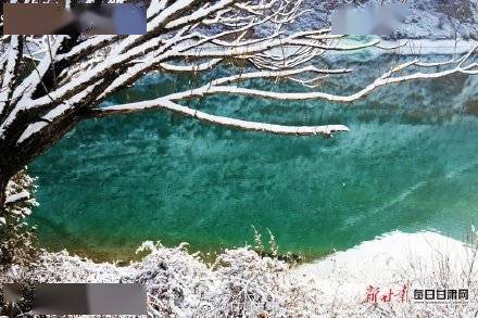 雪后官鹅沟比水墨画还美