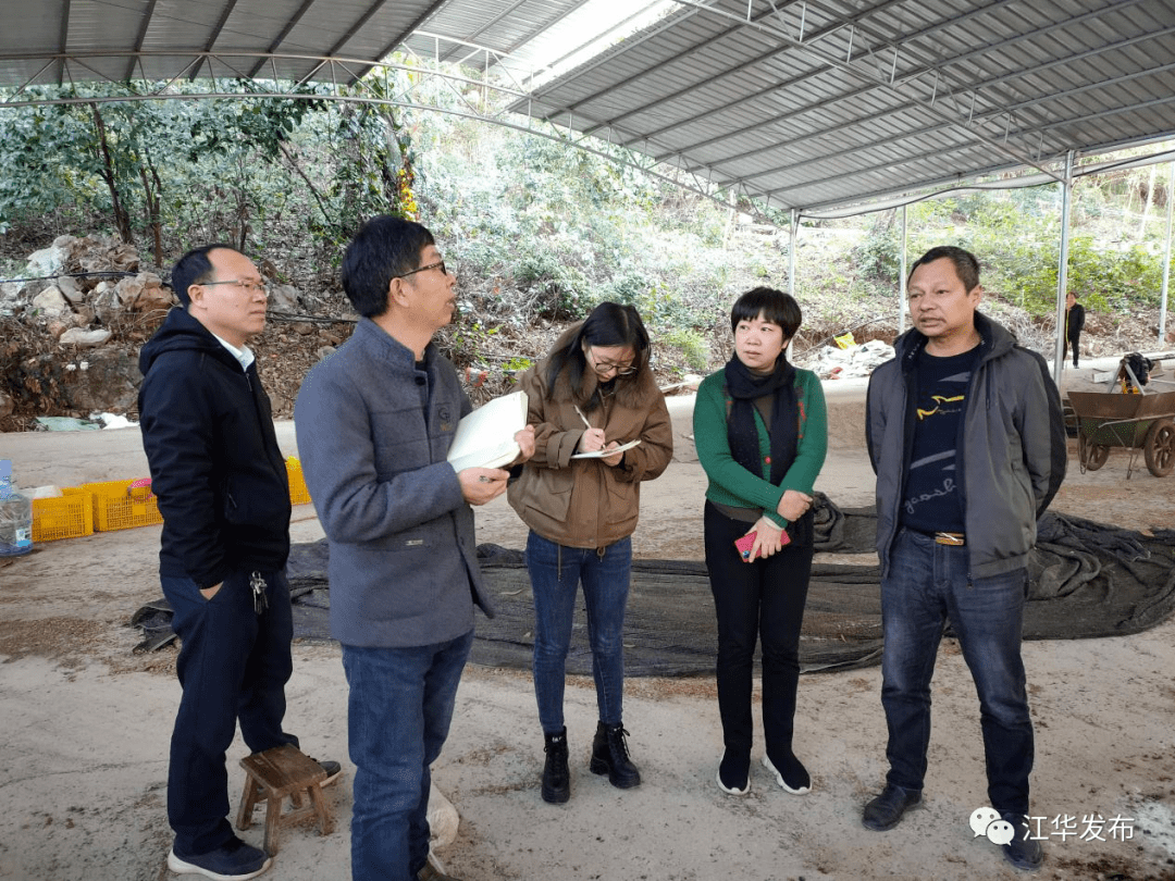 乡村振兴民盟永州市委会来我县开展课题调研