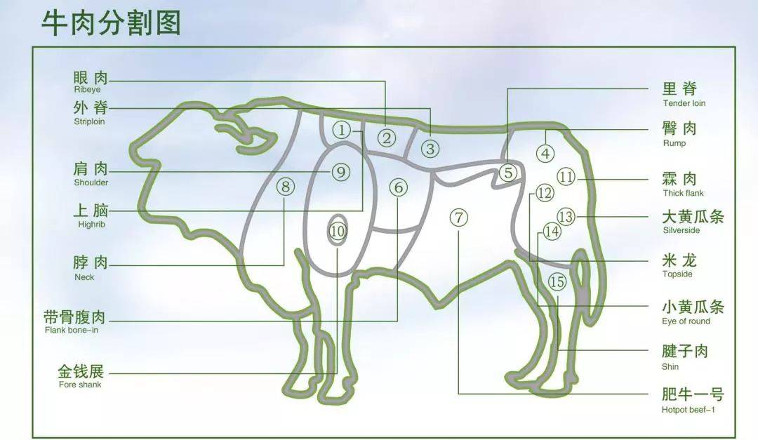 安格斯牛肉分割图图片