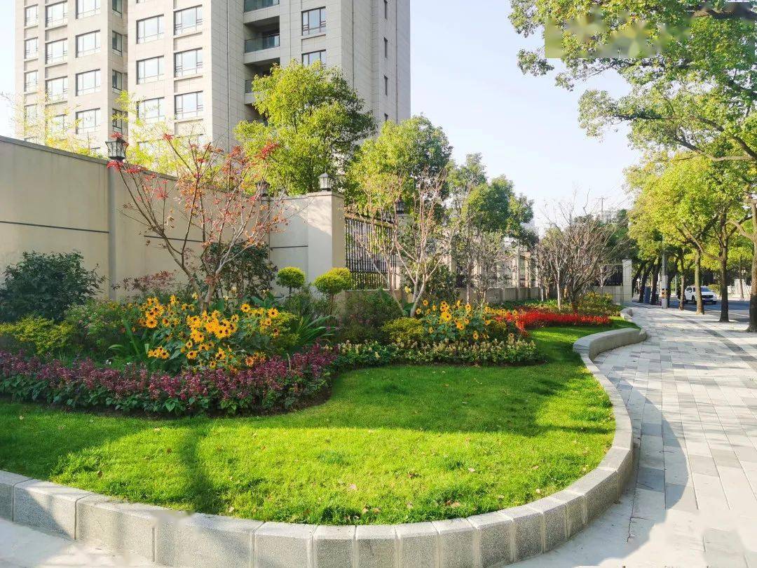 看曹杨社区15分钟生活圈如何打造?_绿地_改造_普陀区