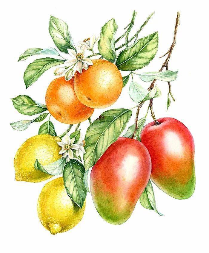 版权_kateryn_静物