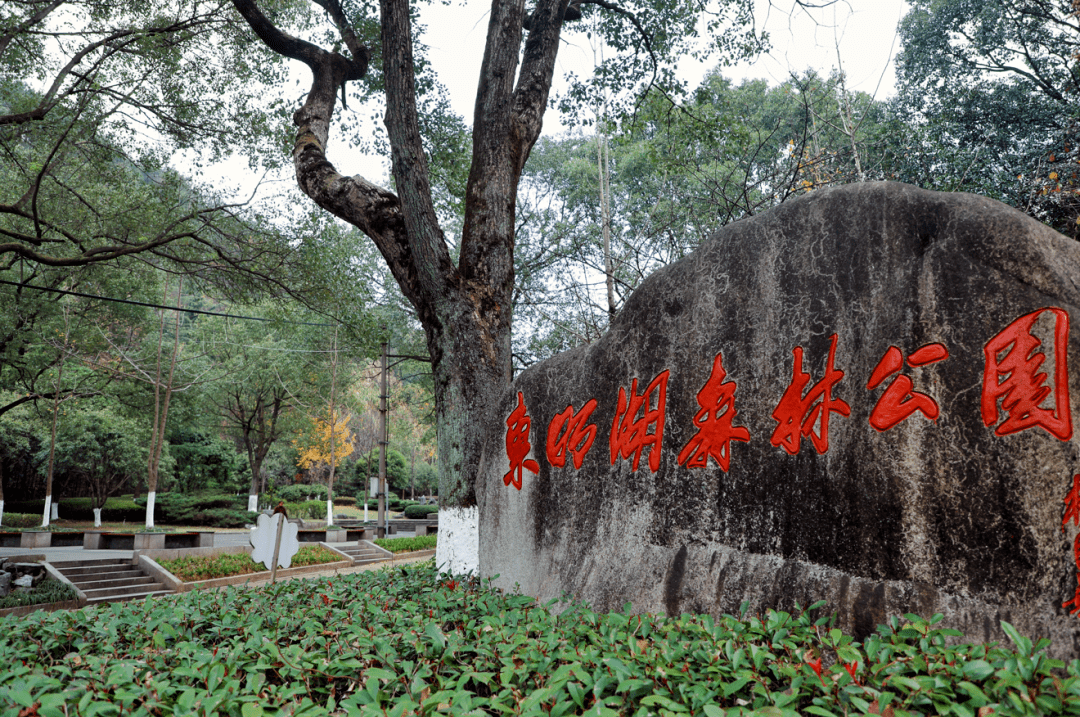 慢城常山何处心安〡城南生活图鉴2021初冬