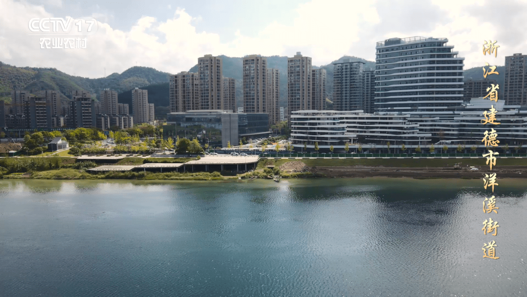 建德又上央视啦!这次是因为…_洋溪街道_建设_生态