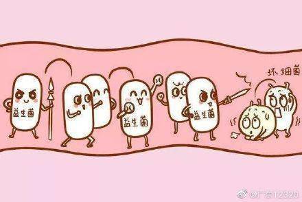 肠道|如何让菌群重回平衡