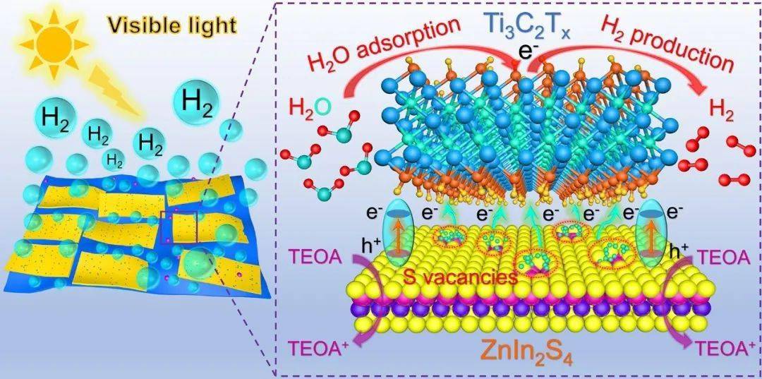 廣西大學秦祖贈課題組advsci硫空位和mxene助催化劑協同促進光催化