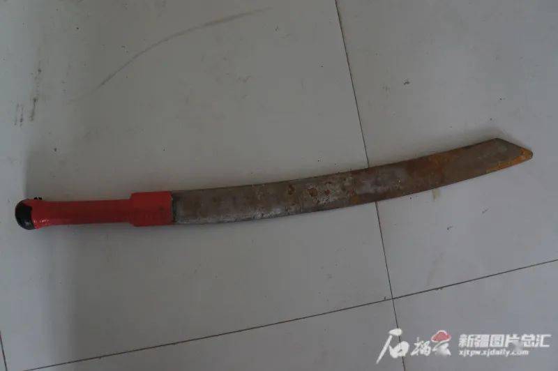 15名干部和民警牺牲新疆巴楚423严重暴力恐怖案件更多细节曝光
