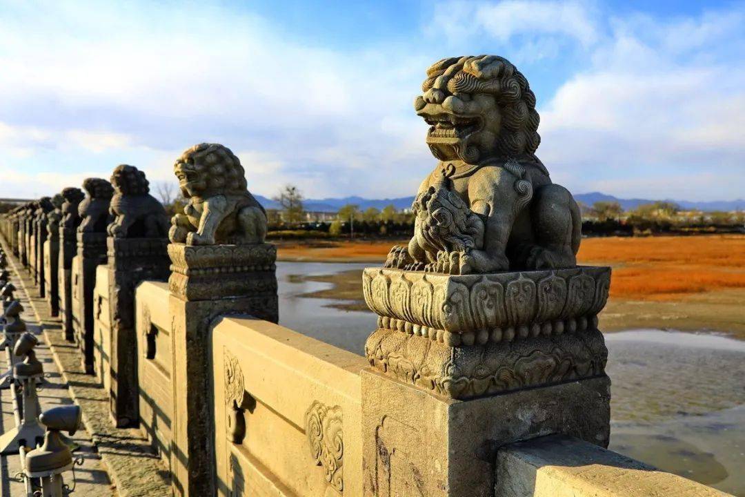 卢沟桥的狮子王冠图片