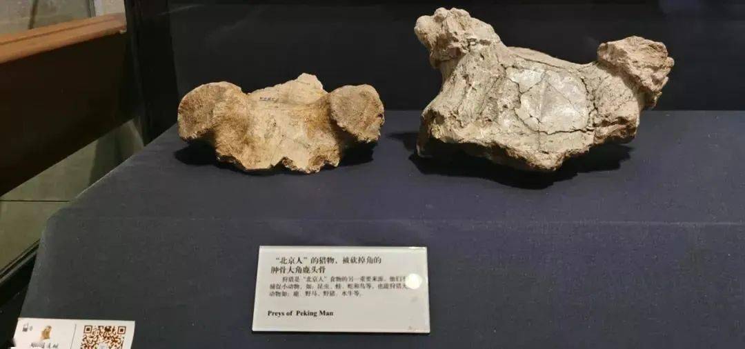 如何简单的保留火种 29d693e1d7b649d3992263bcab230990.jpeg