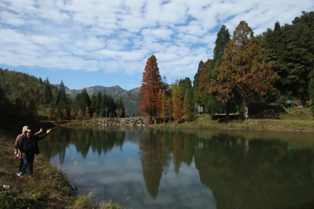 信宜 网红景点鹿湖顶游人如织,塞车严重,昨天上山道路上又加锁了