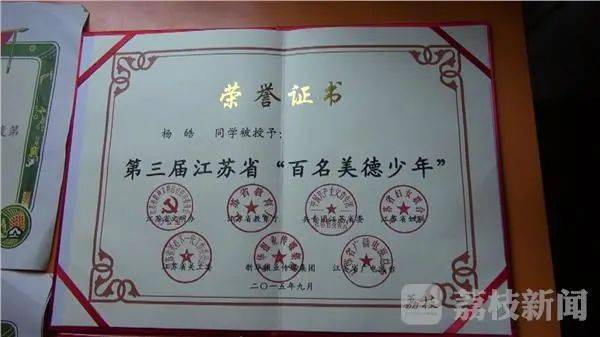 在杨皓的书柜,和检查报告一样多的还有一摞摞奖状和证书