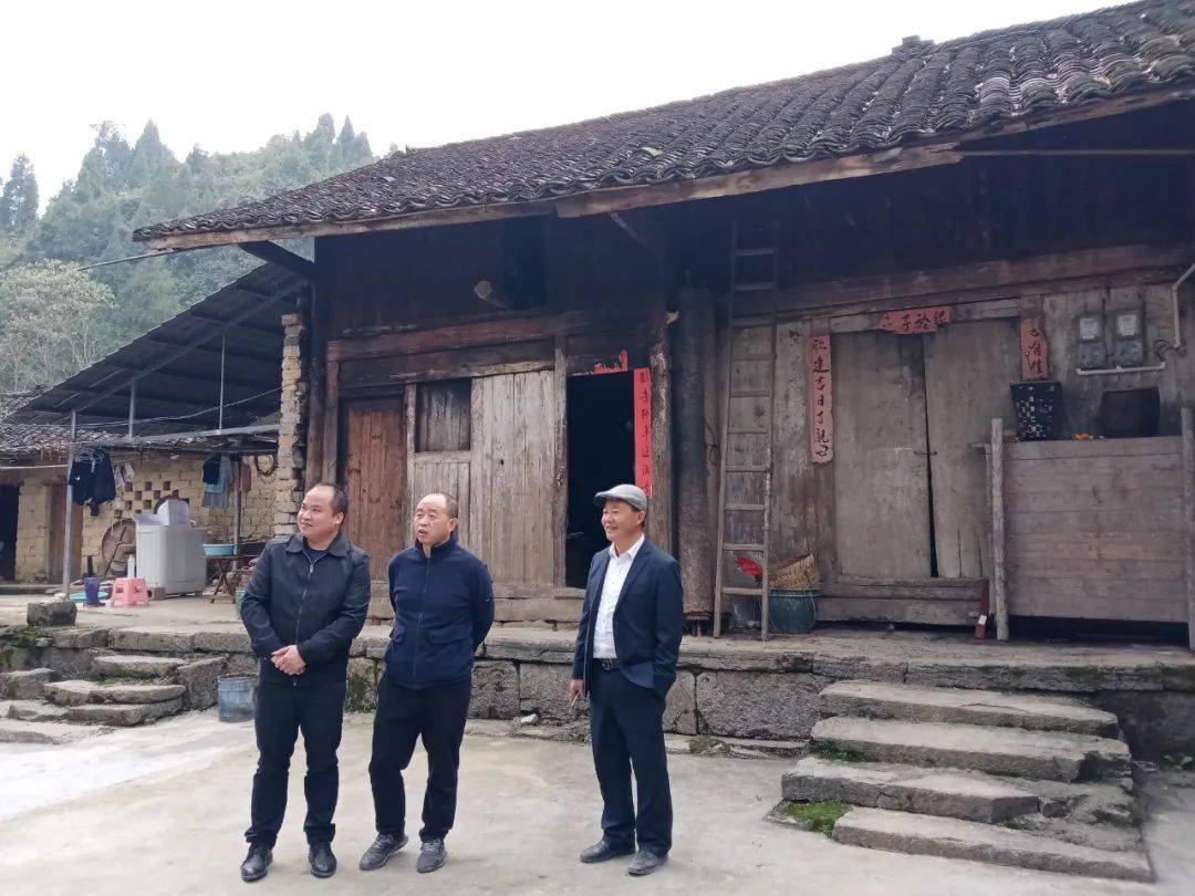 滕建杰到闵孝镇双屯村调研特色田园乡村乡村振兴集成示范点建设情况