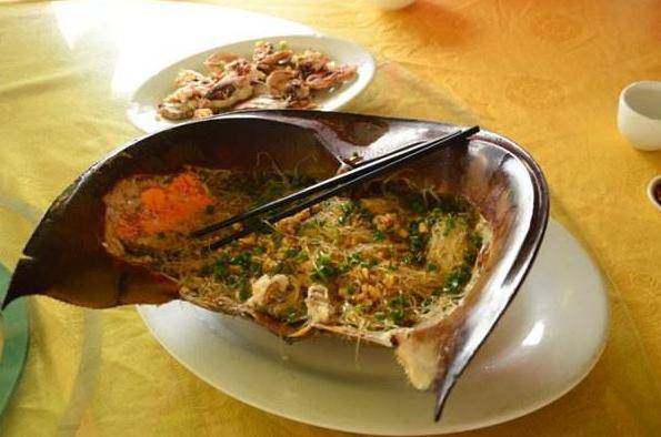 蓝色血液的动物叫什么 b8362b1acc014d3898e31c1f42693f2c.jpeg