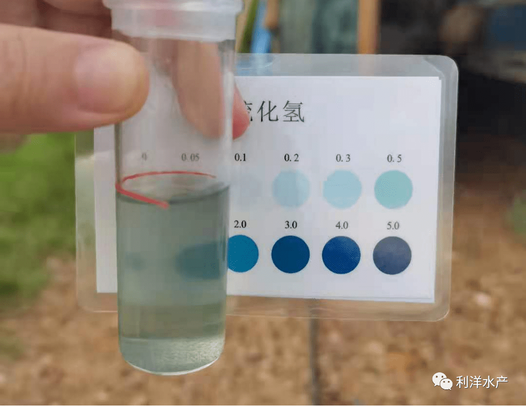 與對氨基二甲基苯溶液和三氯化鐵溶液作用,生成亞甲基藍,根據顏色深淺