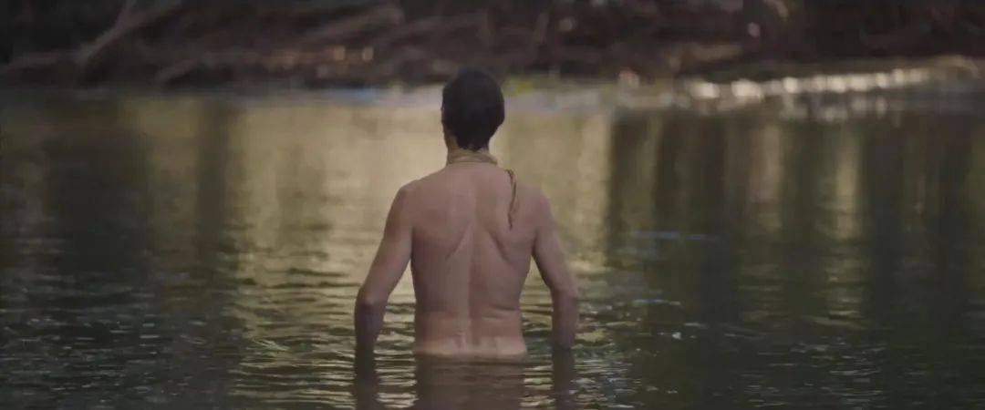 角色|颁奖季！深柜之死，是一场温柔的诱杀