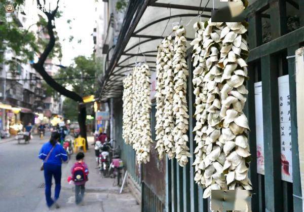 街坊|它很丑但很“贵”！广州街坊很爱吃，数万元一斤