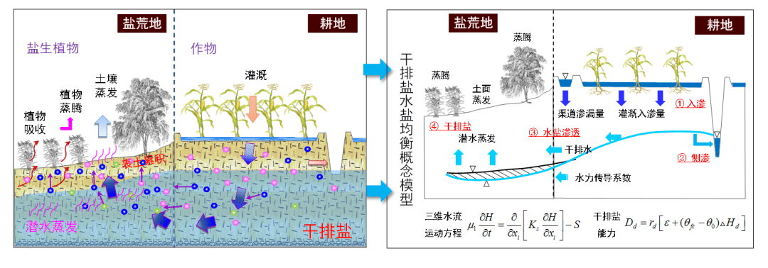 土壤盐碱化的原因图片