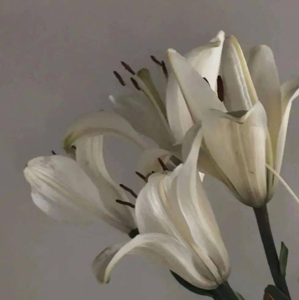 复古风格朋友圈背景图