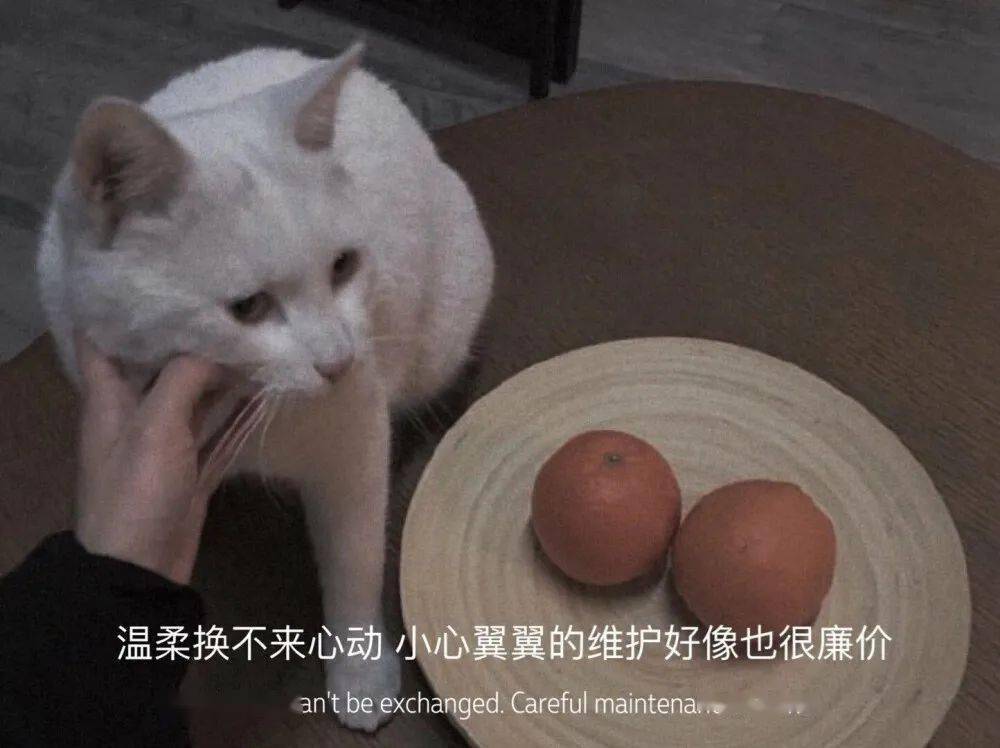 生活|乔峰为什么喜欢阿朱不喜欢阿紫？人性里这个特点细思极恐