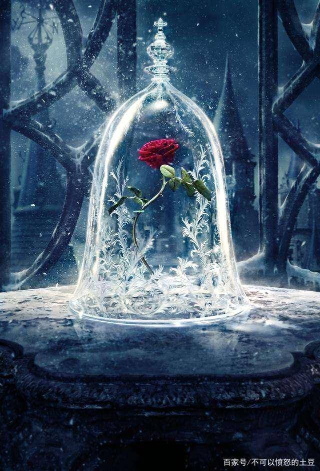 《美女与野兽》,从希腊神话到如今的爱情赞歌,它都经历了什么_贝拉