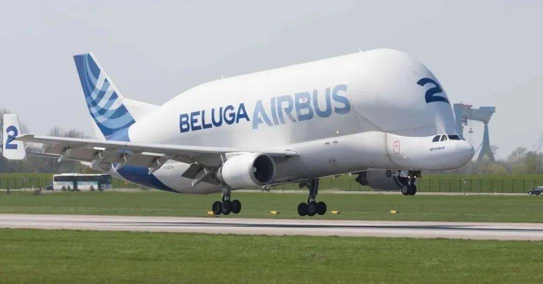 运输机被称为"白鲸",是目前所有民用或军用飞机中货舱容量最大的一款