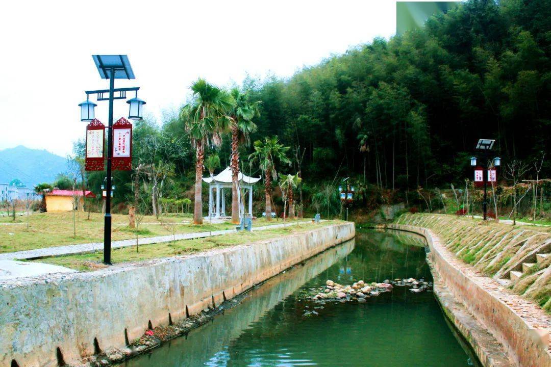 永定枫林村绿色发展蝴蝶翩跹