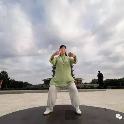 也谈站桩、桩功之要义_武术_调配_神经系统